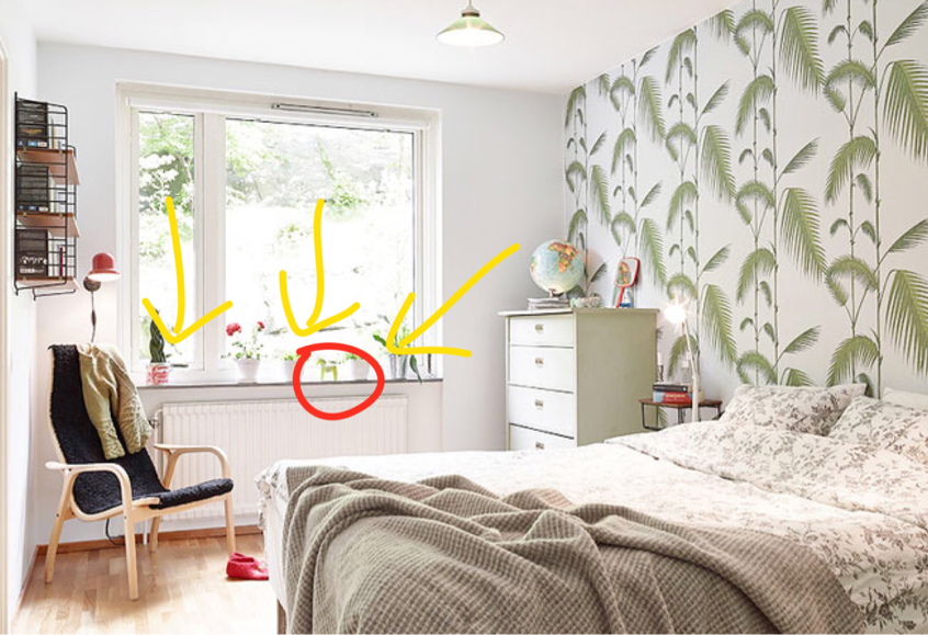 家里再穷也要在这三个地方摆上植物，预示着财运，越住越富裕