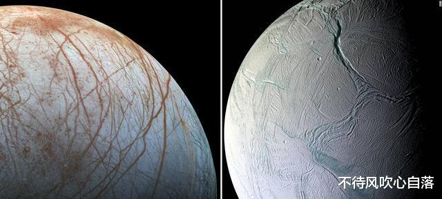 “基本确定”?木星卫星的海洋里,生活着章鱼一般的外星生物