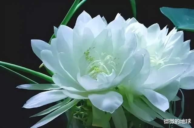 天山|天山，中亚水塔的魅力