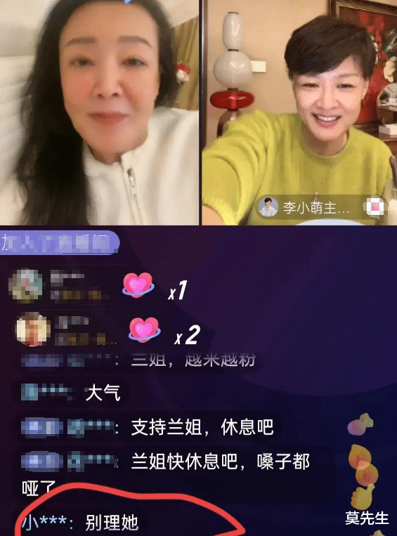 李小萌|央视前主持李小萌被群嘲,张兰霸气反击:公众人物应起到好作用