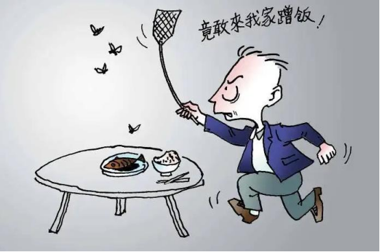 为什么用手很难打到苍蝇,用苍蝇拍却很容易?