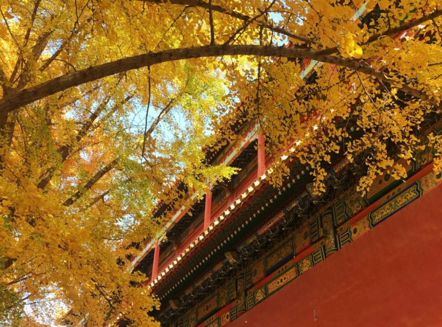 梯田|10个景点告诉你，秋季为什么一定要出去旅游