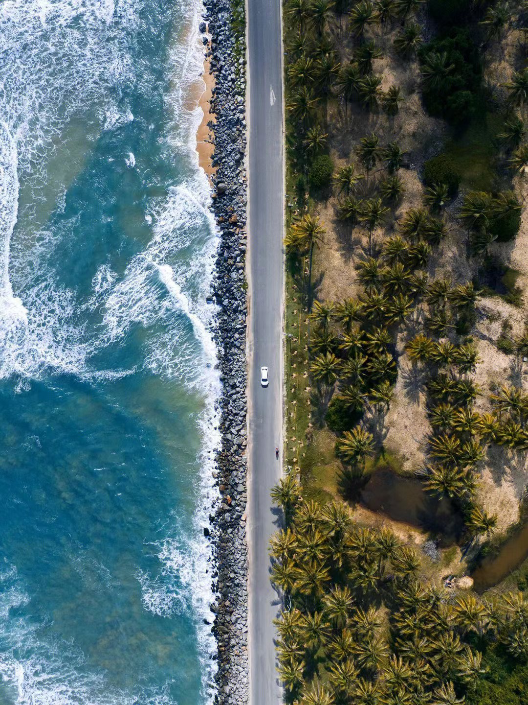 跨年|元旦去哪儿玩？8条元旦自驾游路线攻略请收好