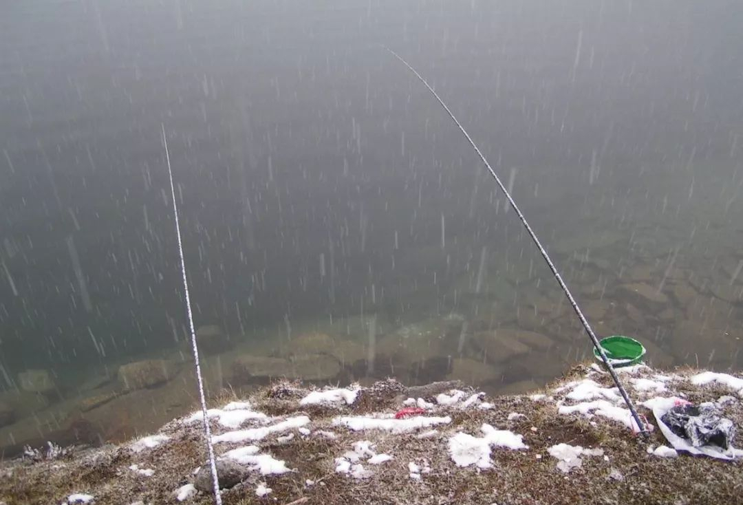 降雪|为什么说冬季下雪五不钓,看完这一篇你就知道了