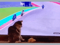 退休 北大退休的91岁老教授收入引争议:1个月工资我用1年都用不掉