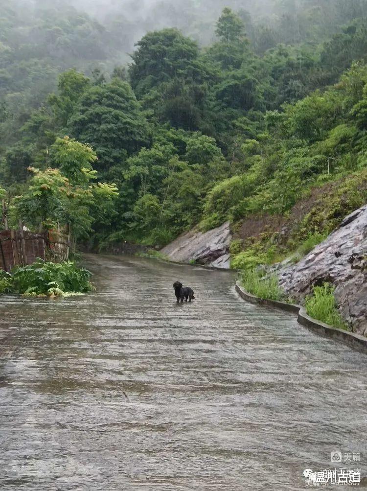 宁夏|雨中九峰寺,让人心神清静,有空不妨来走走!