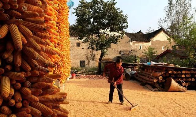 宅基地|“一户一宅”争议不断,为何专家只让在农村实行却不限制城里人?