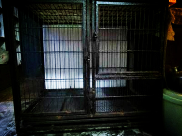 深圳万科第五园性奴案回顾：17岁少女约见网友，被其囚禁在狗笼里