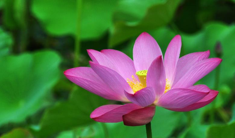 |五十岁之后,需要学会“悔悟”了