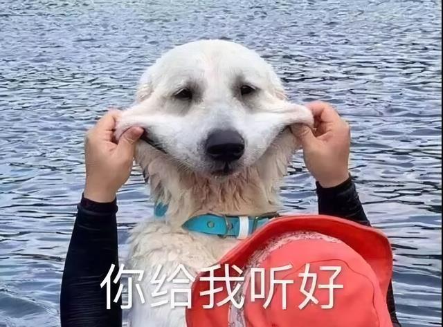 招聘|2022年,没有“招聘旺季”,1000万应届生内心焦灼