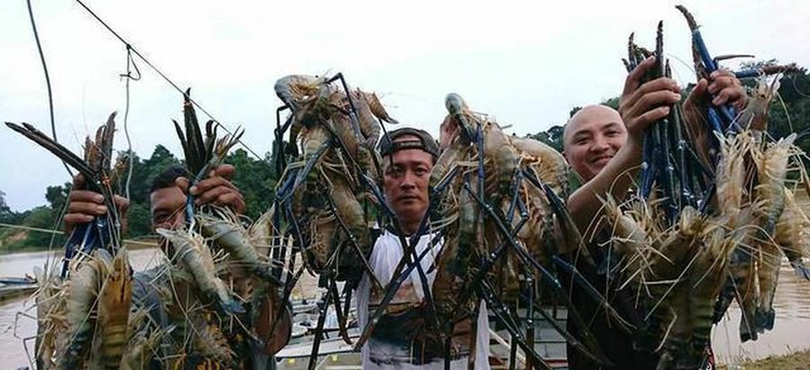 昌化江|昌化江出现许多“大虾”，钓鱼人：一夜钓了十来条，大的半米多长-今日头条