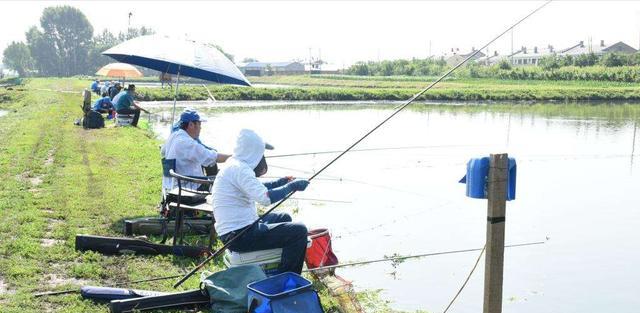 广东省|广东一男子野钓收获四脚“怪鱼”,直接将其拿回家,朋友:心真大