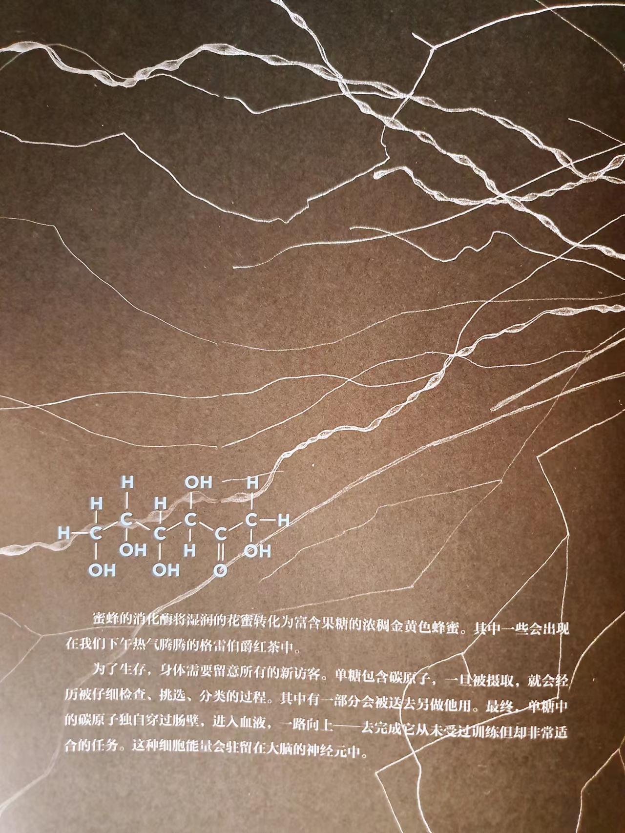 生命的起源:和孩子来一次关于碳原子的浪漫旅行