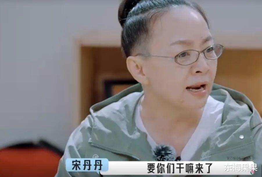 宋丹丹|宋丹丹知道自己烦人吗