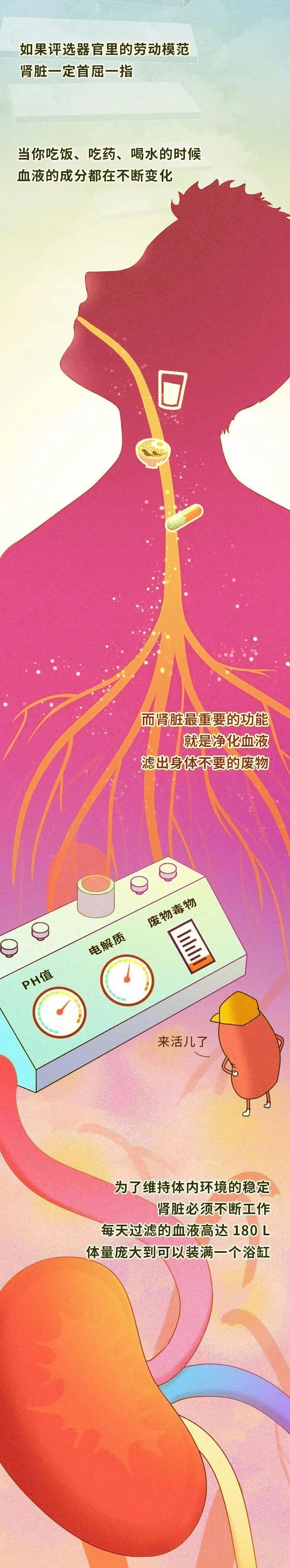 西地那非|透支的肾，是补不回来的！请好好呵护