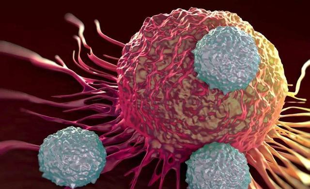 饮食|为了身体健康,这5种东西建议少碰,尽量别碰,不妨做好4件事