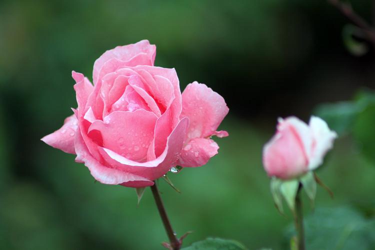 运势|一个人难有出息的三种表现，愿你一个也没有