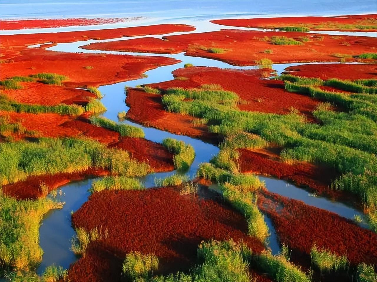 长白山|一个夏天都没出门?不如做一回“第一个看秋色的人”,可好?