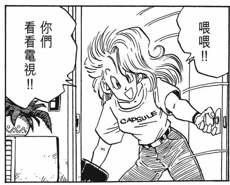 从少女变为婆婆的过程中,布尔玛一共换了13种发型