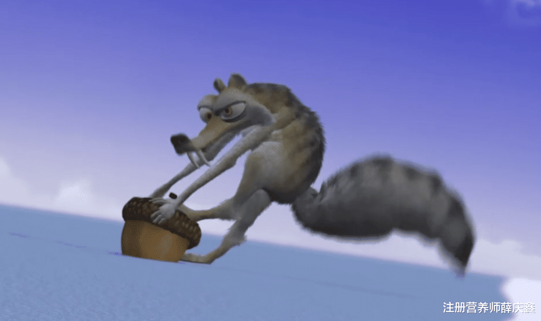 银耳|4种市面上不常见的坚果,口感独特,你吃过哪个?