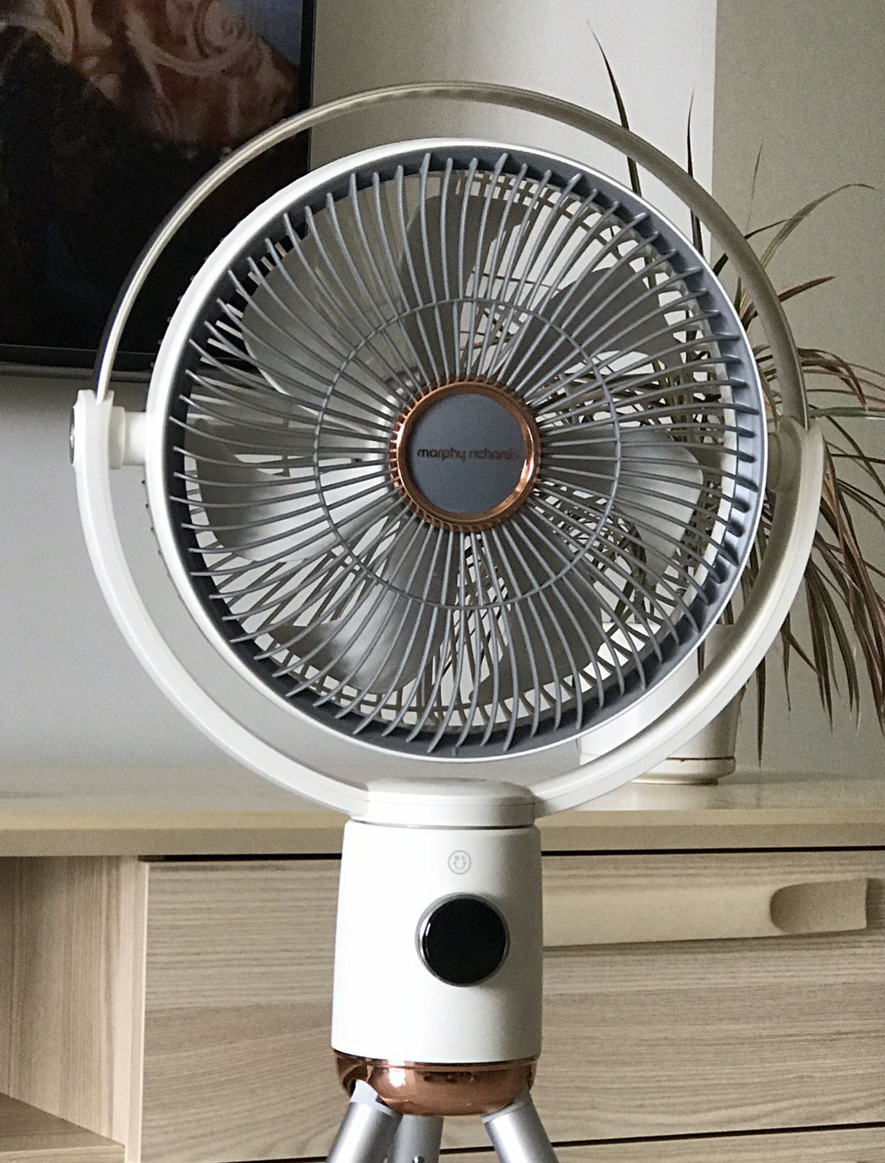 闺蜜强推5件“概念”电器，不仅实用性高，还能满足讲究人的需求