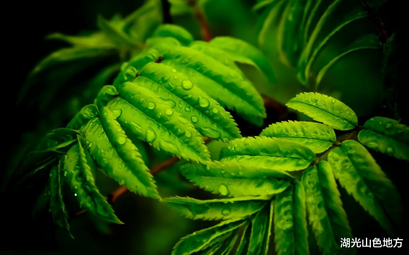 求职|女性如何成为“男女平等的女性”?