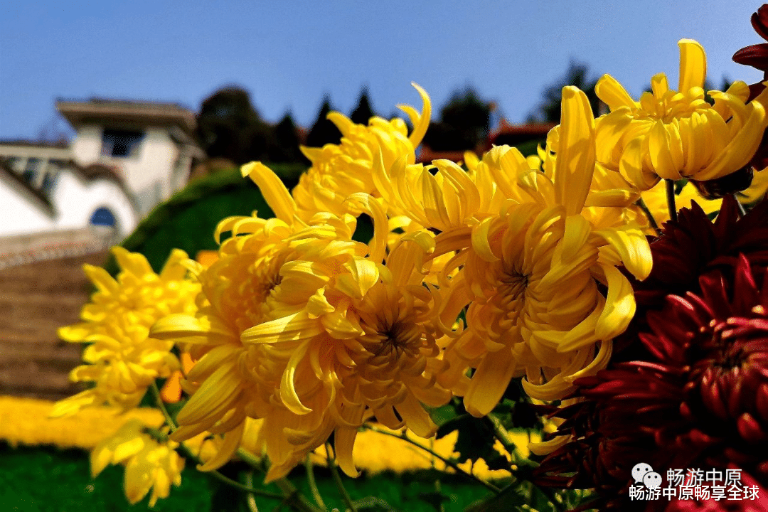 长沙|这个秋天，与您邂逅亿年仙宫鸡冠洞！（原创）