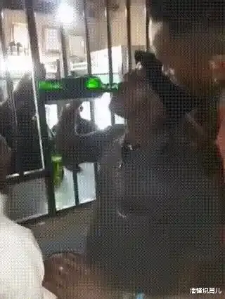 只为赚79元惨丢命!男子2分钟喝完1整瓶野格酒,下一秒倒地身亡