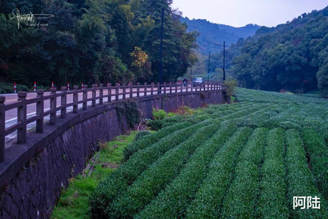 武功山|杭州真正的白云深处其实在天竺山旁边，还是非常有名的龙井茶基地