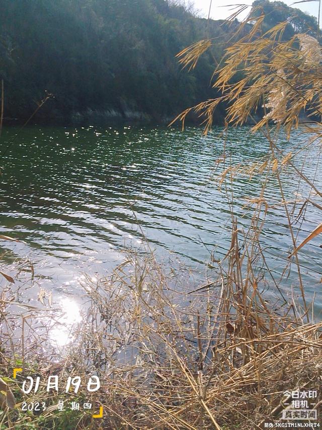 |做钓南山潭,久违的小板鲫连竿。