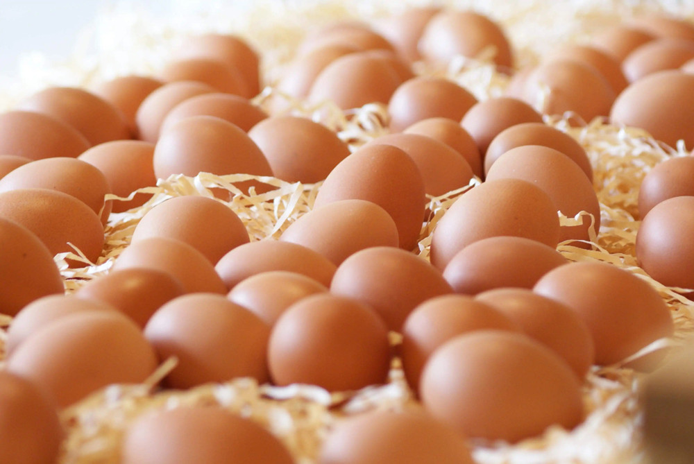 “人造蛋”和“鸡生蛋”怎样辨别?教你4个小技巧,认清再买不亏