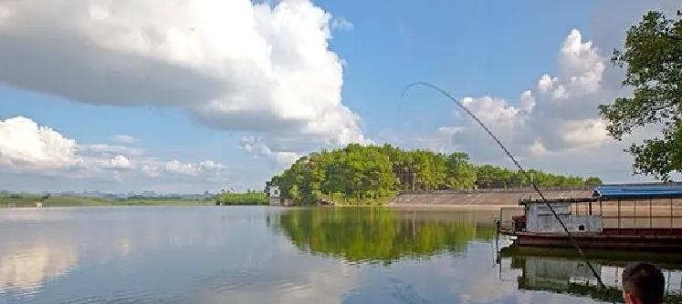 饵料|夏季野钓,别急着下竿!做好4步,鱼获更上一层楼,新手也可连竿