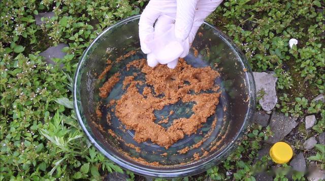 |夏季野钓草鱼,鲤鱼饵料配方,此款饵料比大多数商品饵还管用