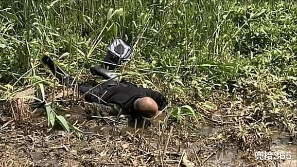 |江苏七旬大爷趴在泥潭里，路人误以为抓龙虾遇大货，网友：真危险