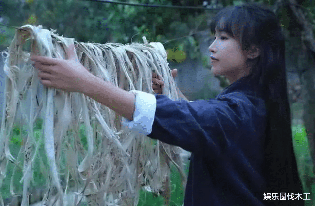 李子柒|5335.4粉丝的网红李子柒翻车?网友:比明星塌房可怕