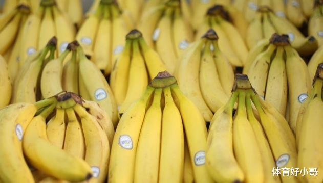 香蕉正在灭绝？未来或将“一蕉难求”，这是我们人类犯的错