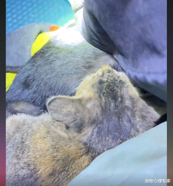 |男子夜钓时感觉有“东西”扒拉自己,低头一看:哪里来的小可爱?