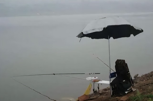 立夏|立夏钓鱼，技巧以不同于春季？只有改变“钓法”，才能鱼获翻倍