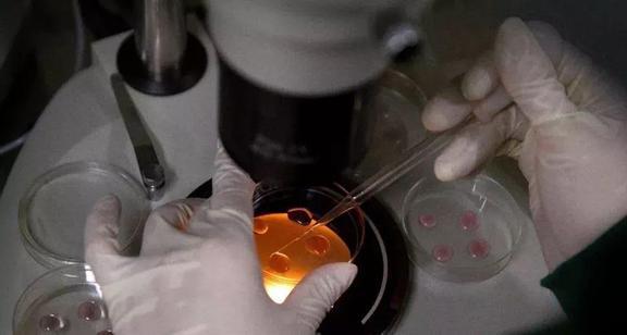 胚胎基因编辑造福人类,HIV免疫与生俱来,但其后果你想过吗?