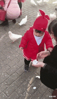 |“钓鱼的时候飞到我手上的，第一次见，有知道这是什么的吗？”