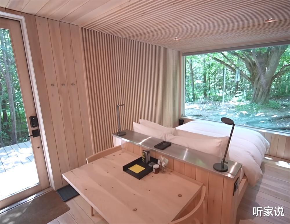 33岁老哥隐居森林中，亲手建起18㎡“隐形”蜗居，网友：太佩服了