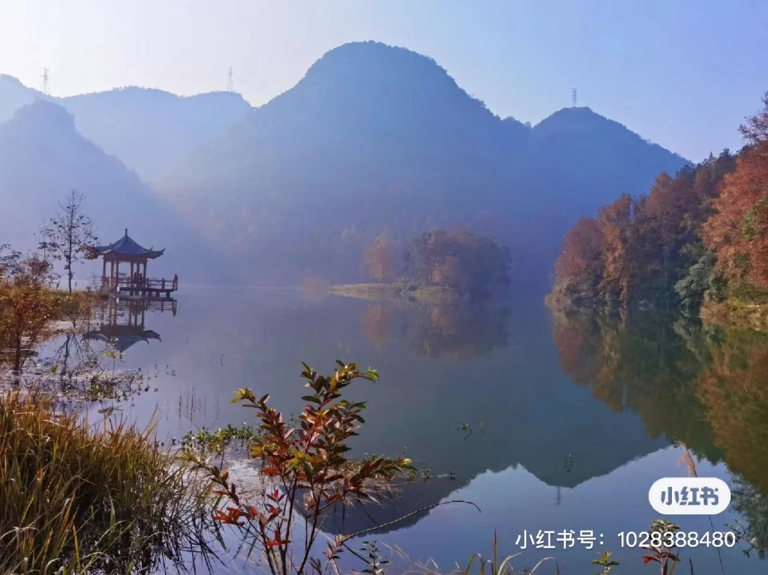 小红书|枫红了！广西标志性赏枫秘境，又到最佳观赏期！|广西旅游年卡