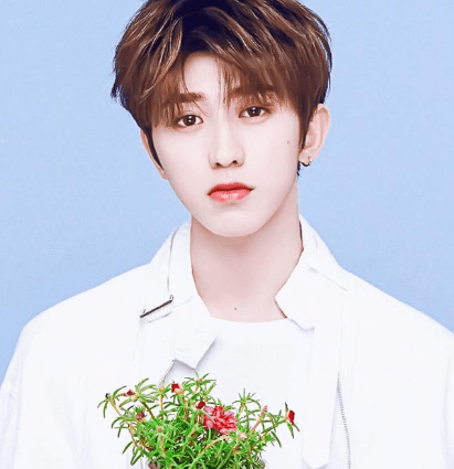 蔡徐坤|24岁蔡徐坤被集中问询!多家公司回应与其无合作,工作室严肃回应