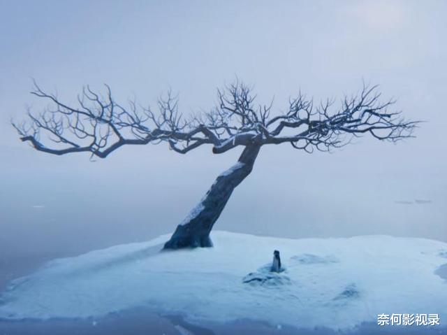 落落|《苍兰诀》害了小兰花父母之后，容昊的报应，终于来了