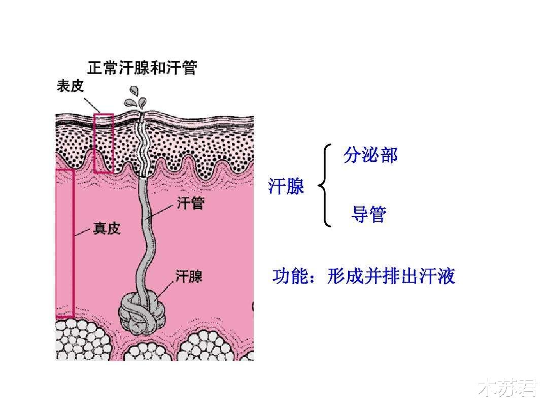 零上58℃和零下58℃,哪个更“恐怖”,专家说出了答案