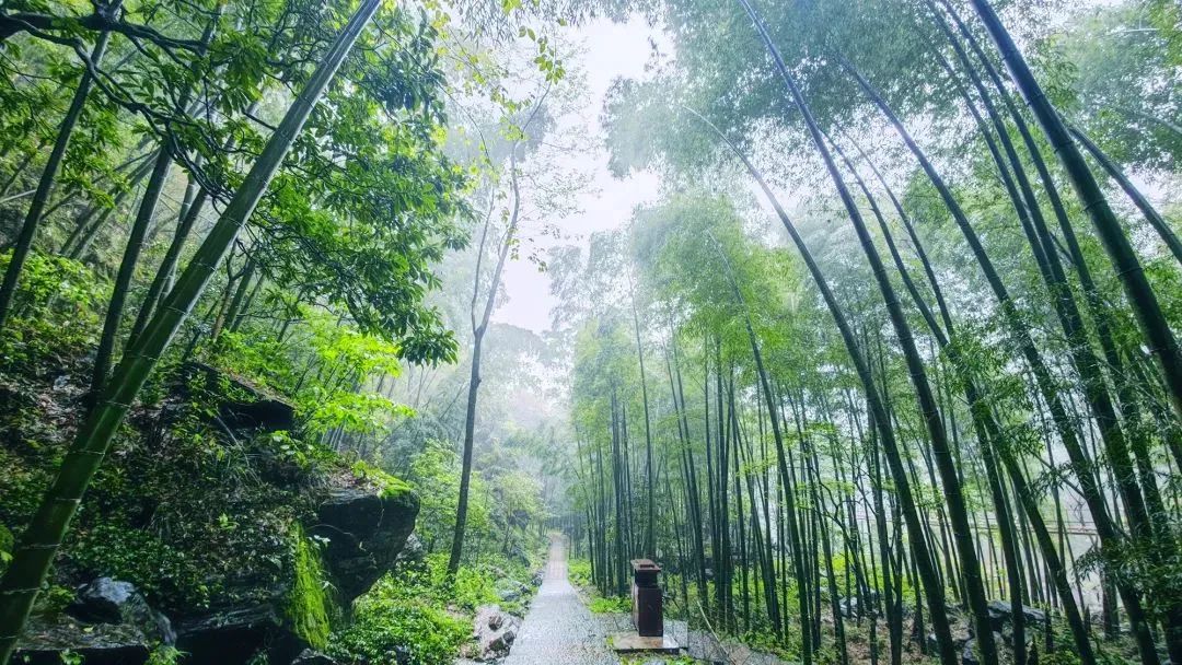 北京市|炎炎夏日，在明月山，还能大胆走在户外玩！