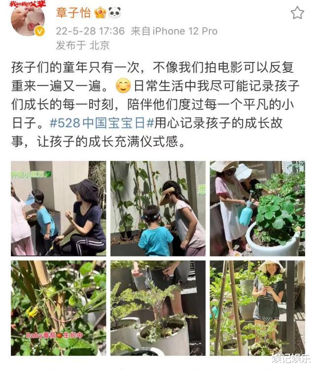 章子怡|章子怡带儿女在别墅种菜，穿搭很少女，43岁素颜抢镜