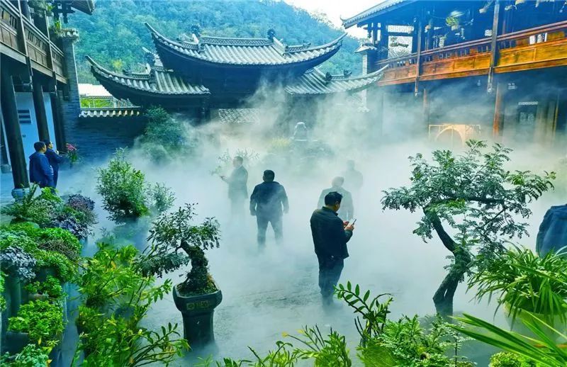 |听说“半个中国的人都来云南避暑了”？清凉文山欢迎你！