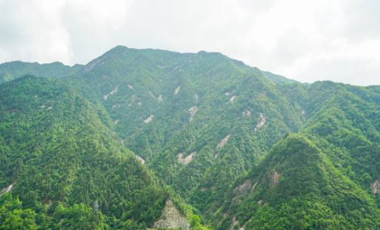 浙江省|全长3366米，被称华东最“险”栈道，上下高差近800米，超乎想象