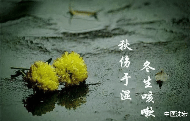 熬夜|秋伤于湿,冬生咳嗽,一个中成药,把体内夏天残留的湿气排出去